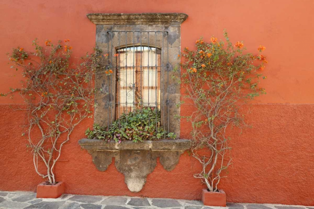 Mexico, San Miguel de Allende Window and plants art print by Don Paulson for $57.95 CAD