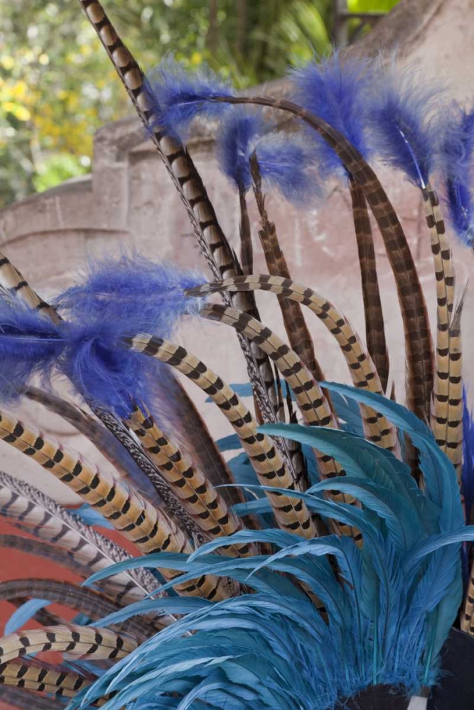 Mexico, San Miguel de Allende Aztec headdress art print by Don Paulson for $57.95 CAD