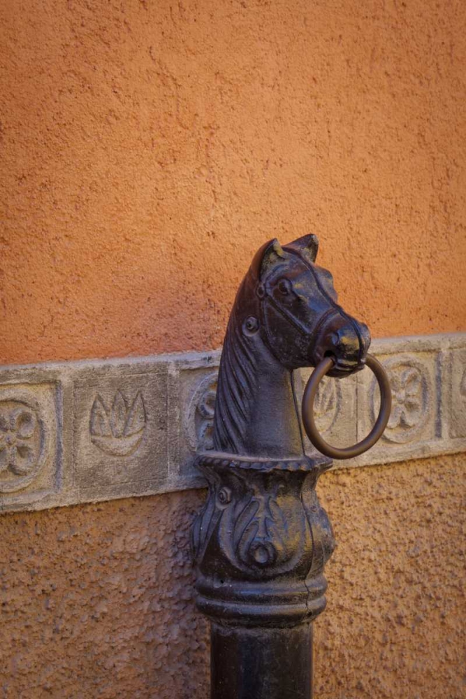 Mexico Horse ring, Guanajuato, Mexico art print by Don Paulson for $57.95 CAD