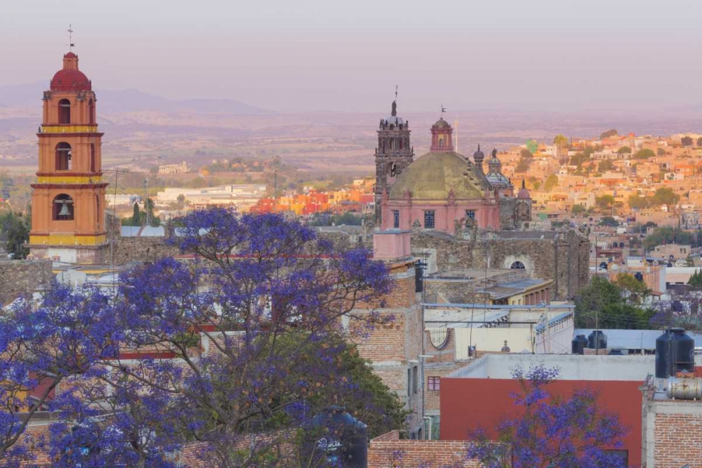 Mexico, San Miguel de Allende Jacaranda and city art print by Don Paulson for $57.95 CAD