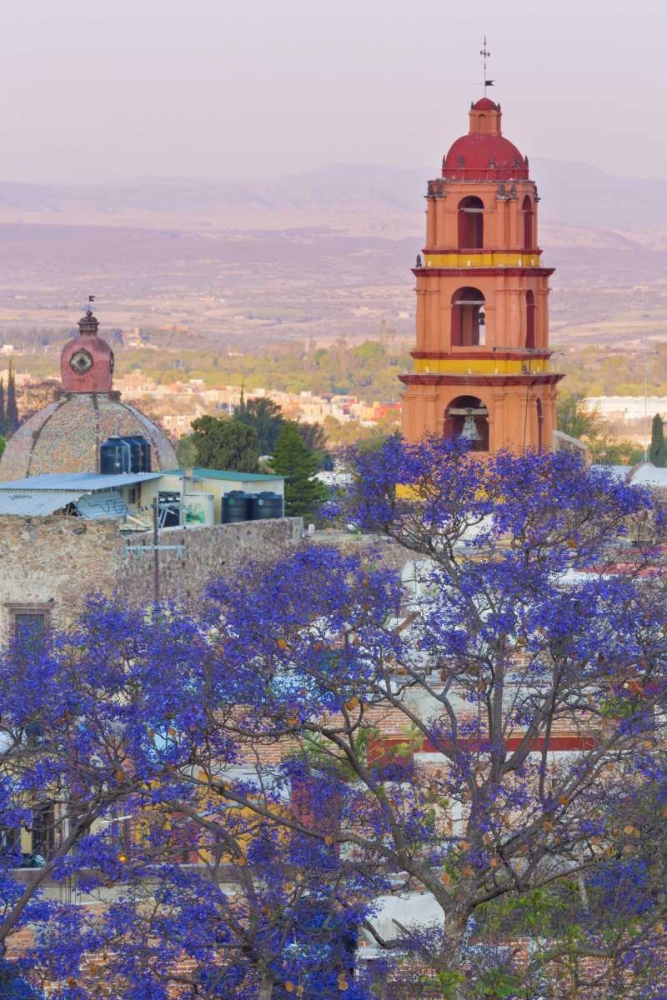Mexico, San Miguel de Allende Jacaranda and city art print by Don Paulson for $57.95 CAD