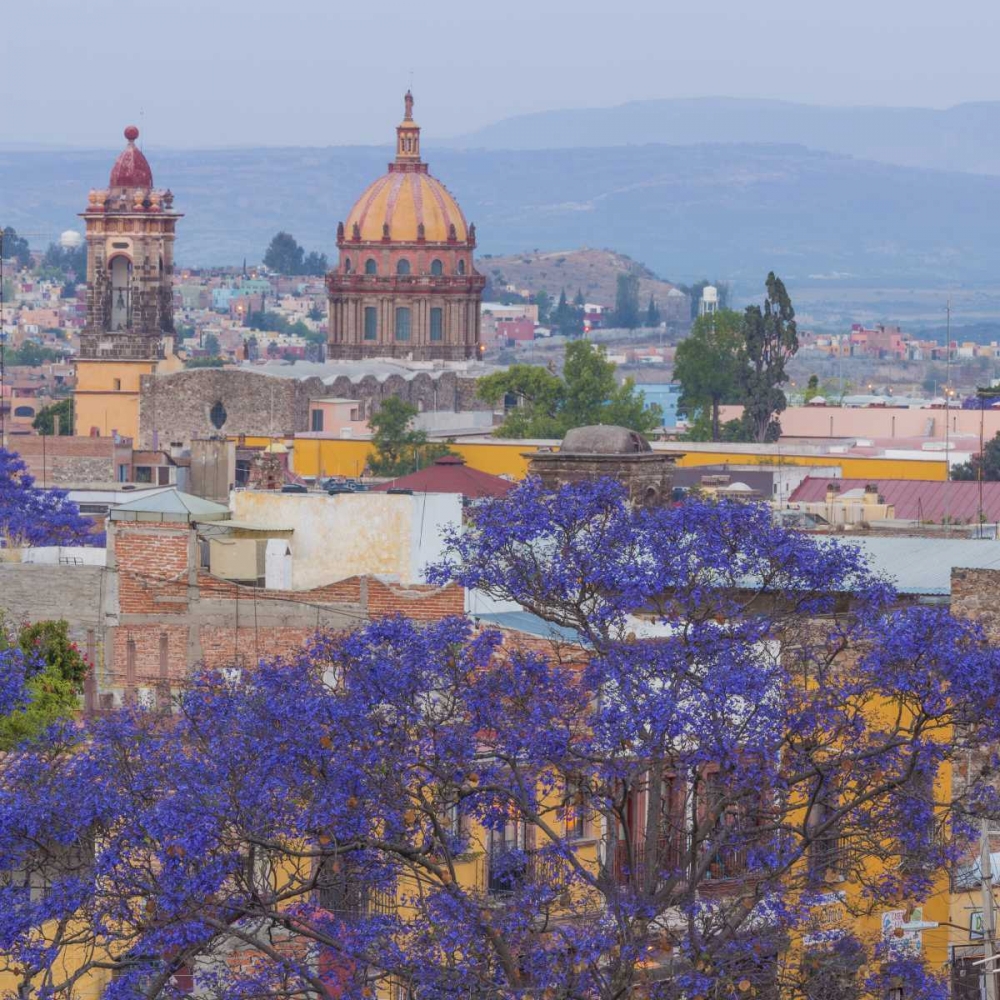 Mexico, San Miguel de Allende Jacaranda and city art print by Don Paulson for $57.95 CAD