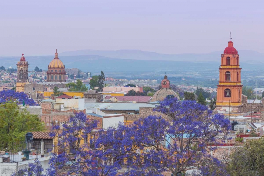 Mexico, San Miguel de Allende Jacaranda and city art print by Don Paulson for $57.95 CAD