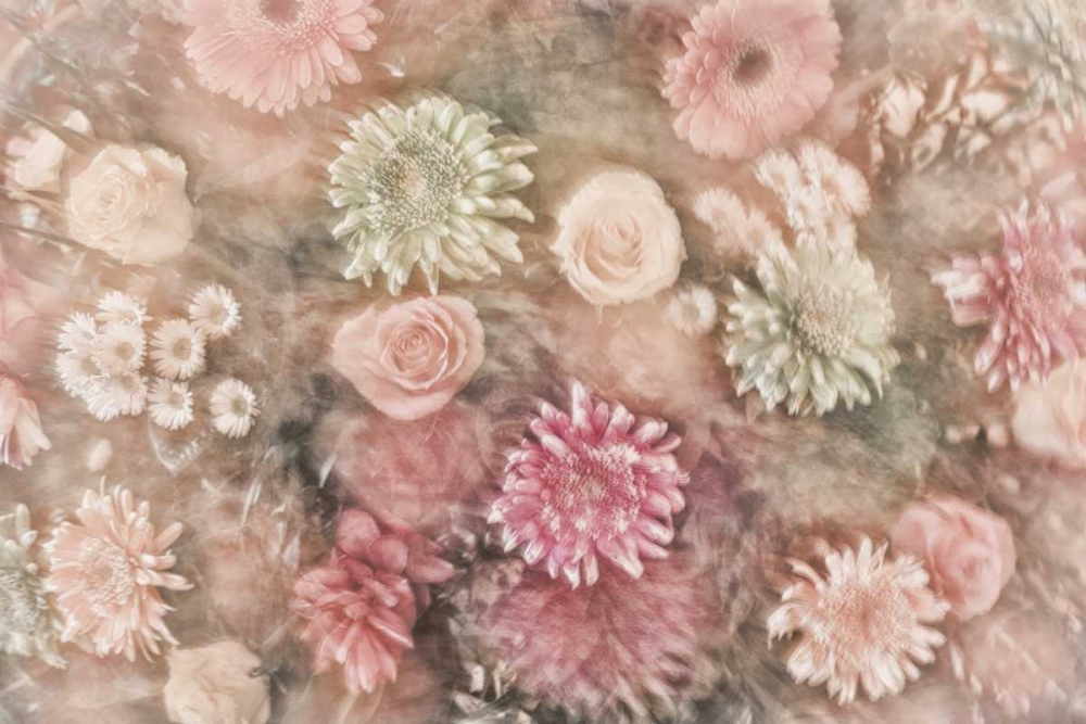 Mexico Abstract of a flower arrangement art print by Don Paulson for $57.95 CAD