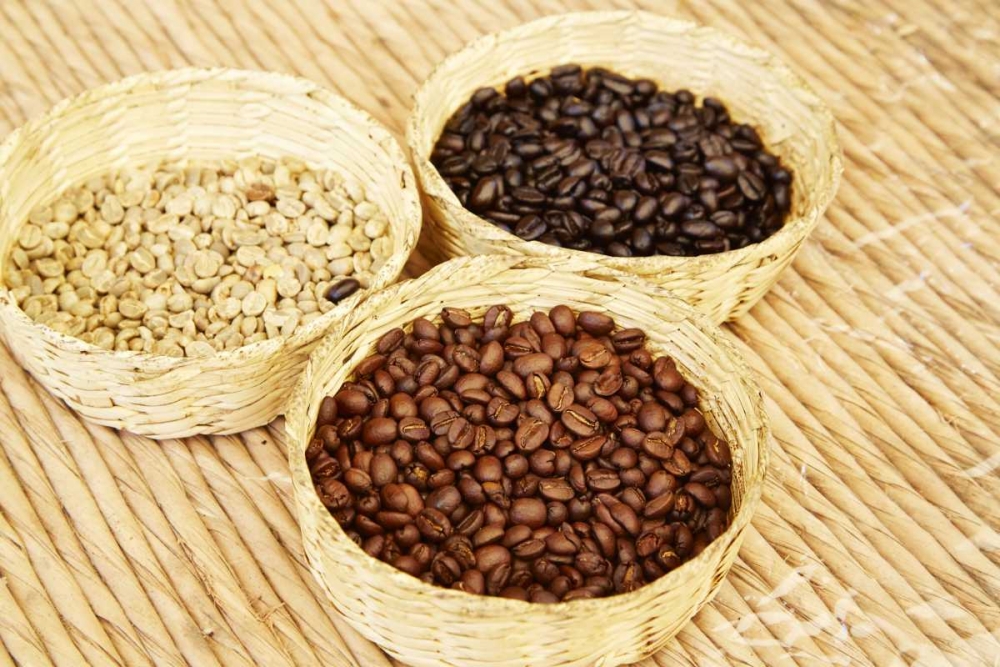 Mexico, Sierra Madre Baskets of coffee beans art print by Steve Ross for $57.95 CAD