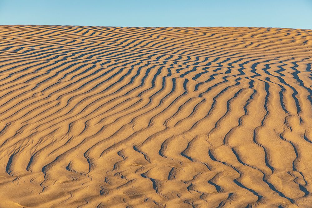 Guerrero Negro- Mulege- Baja California Sur- Mexico. Sand dunes at sunset along the western coast. art print by Emily Wilson for $57.95 CAD