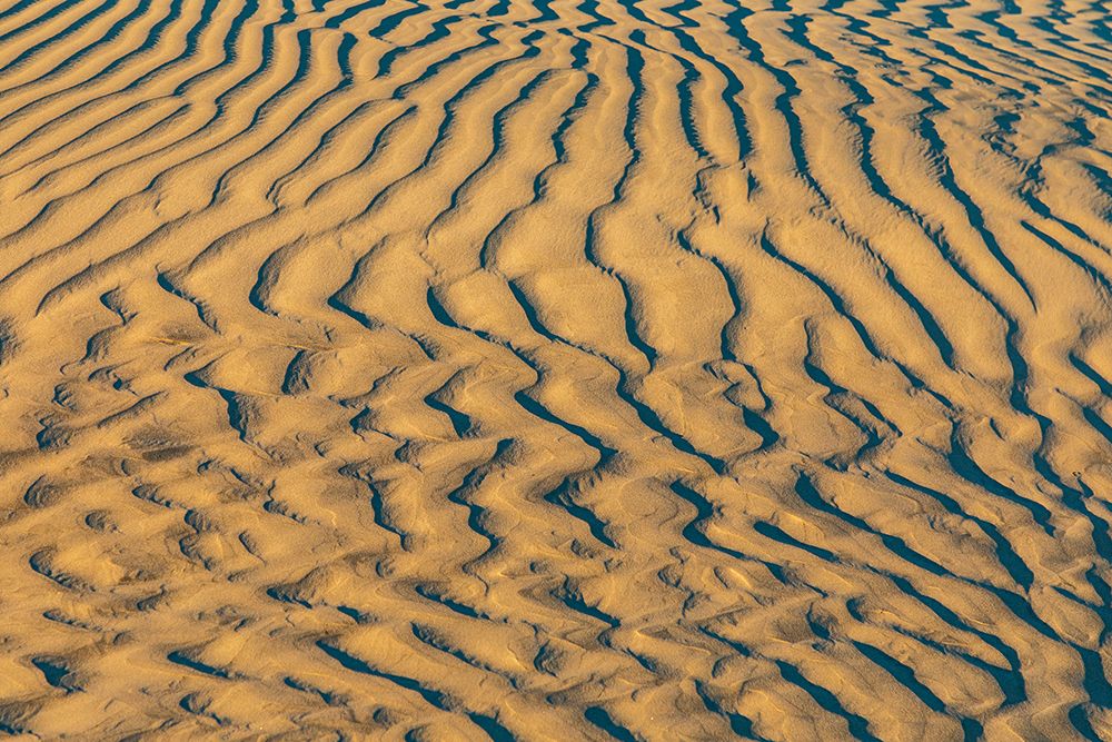 Guerrero Negro- Mulege- Baja California Sur- Mexico. Sand dunes at sunset along the western coast. art print by Emily Wilson for $57.95 CAD
