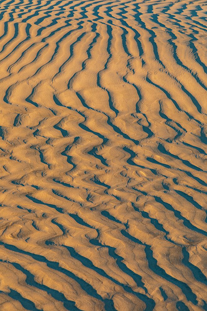 Guerrero Negro- Mulege- Baja California Sur- Mexico. Sand dunes at sunset along the western coast. art print by Emily Wilson for $57.95 CAD