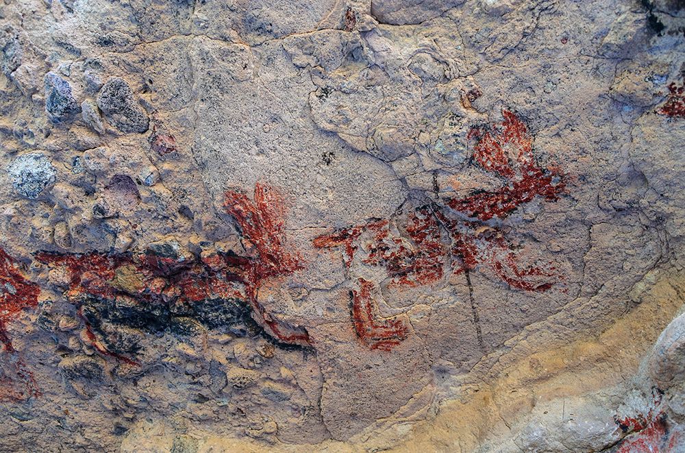 Mexico-Baja California Sur-Sierra de San Francisco. Pictographs on rock wall near Rancho Naranja. art print by Fredrik Norrsell for $57.95 CAD