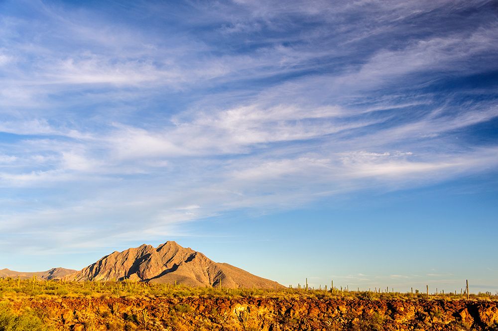 Mexico-Baja California Sur-Sierra de San Francisco. Landscape view from Rancho San Esteban. art print by Fredrik Norrsell for $57.95 CAD