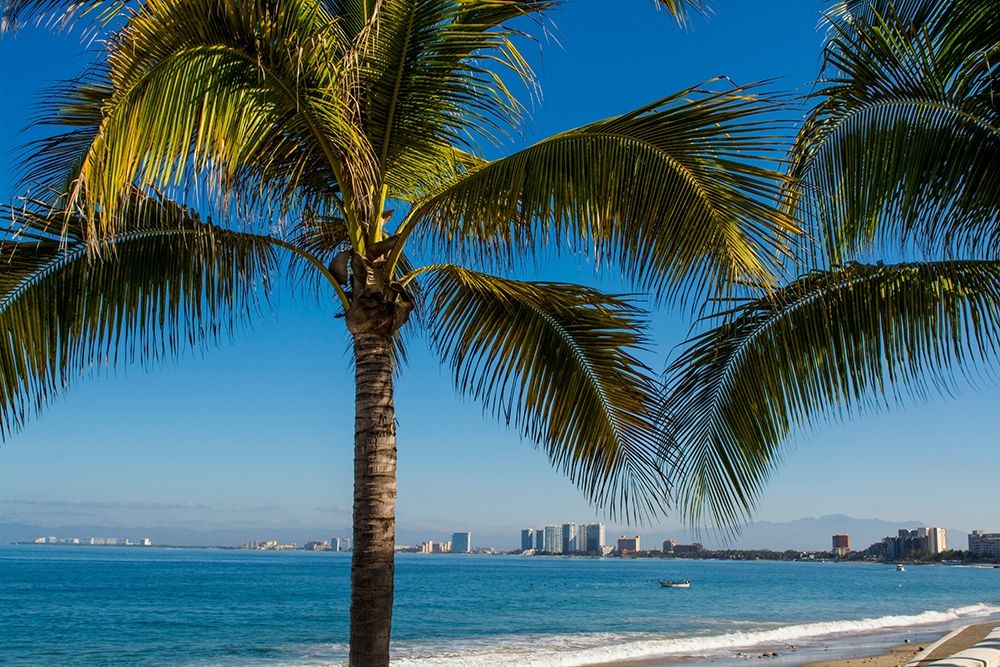 Playa Los Muertos beach-Puerto Vallarta-Jalisco-Mexico art print by Michael DeFreitas for $57.95 CAD
