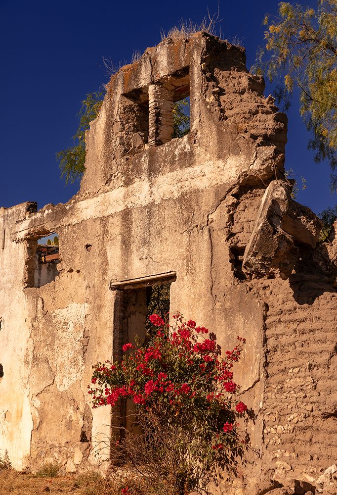 Colorful flowers in front of ruin of old fortress. San Miguel de Allende, Mexico. art print by Tom Norring for $57.95 CAD