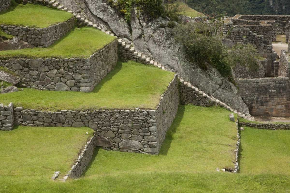 Agricultural terraces, Machu Picchu, Peru art print by Wendy Kaveney for $57.95 CAD