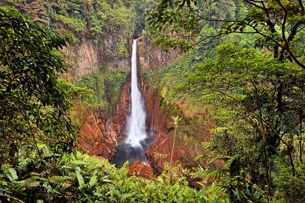 Catarata Del Toro Waterfall-in the mountains of Bajos del Toro Amarillo-Sarchi-Costa Rica art print by Adam Jones for $57.95 CAD