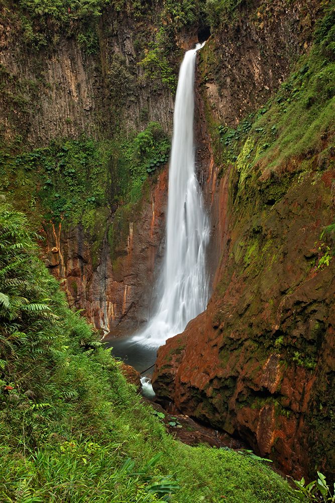 Catarata Del Toro Waterfall-in the mountains of Bajos del Toro Amarillo-Sarchi-Costa Rica art print by Adam Jones for $57.95 CAD