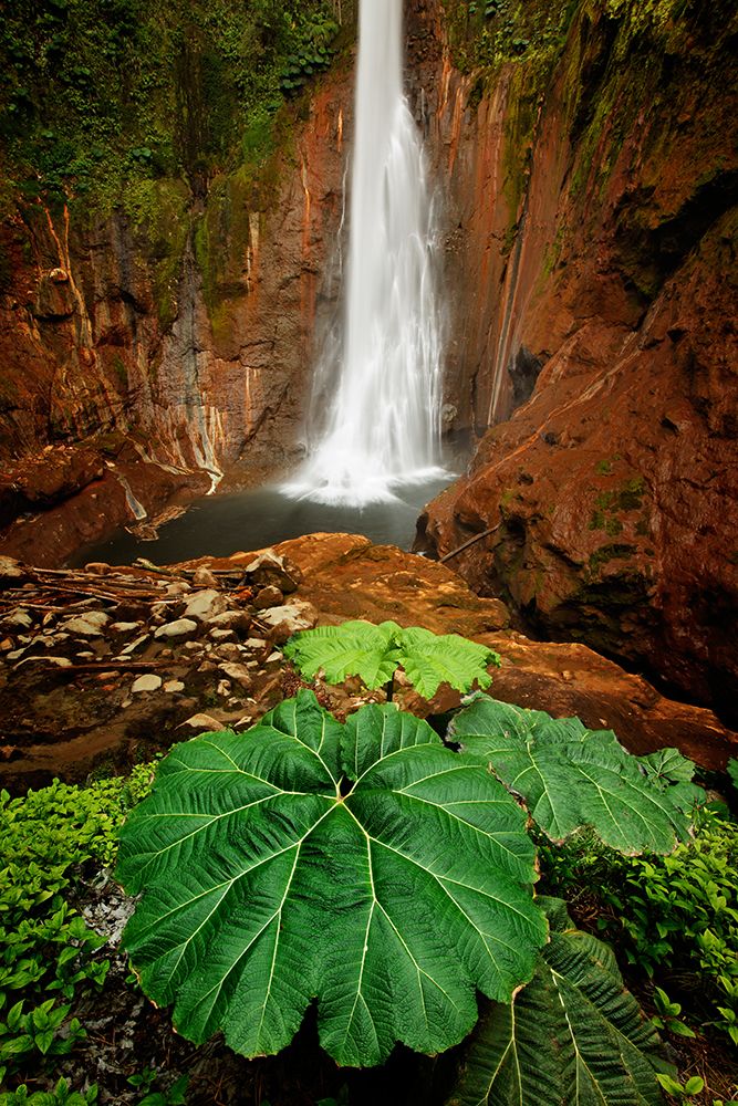 Catarata Del Toro Waterfall-in the mountains of Bajos del Toro Amarillo-Sarchi-Costa Rica art print by Adam Jones for $57.95 CAD