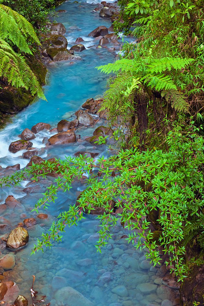 Small stream or creek-Costa Rica art print by Adam Jones for $57.95 CAD
