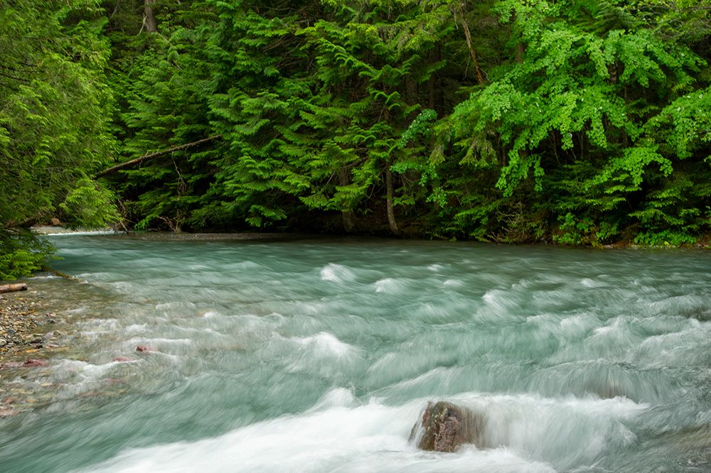 Costa Rica blue river art print by George and Marilu Theodore for $57.95 CAD