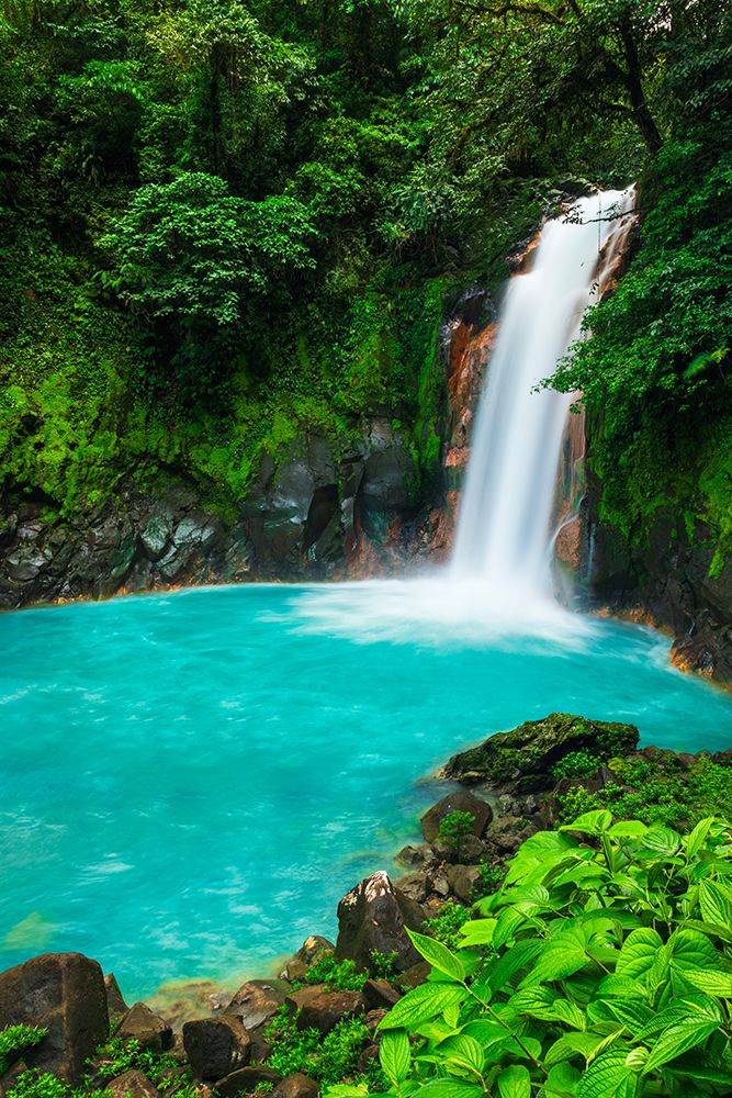 Rio Celeste Waterfall, Tenorio Volcano National Park, Guanacaste Province, Costa Rica art print by Russ Bishop for $57.95 CAD