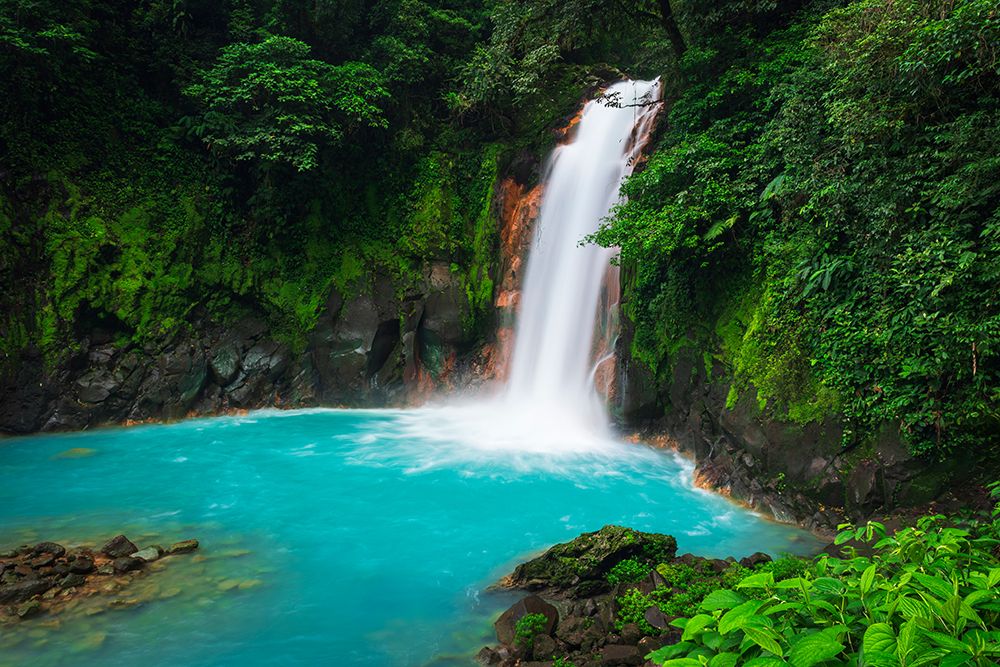 Rio Celeste Waterfall, Tenorio Volcano National Park, Guanacaste Province, Costa Rica art print by Russ Bishop for $57.95 CAD