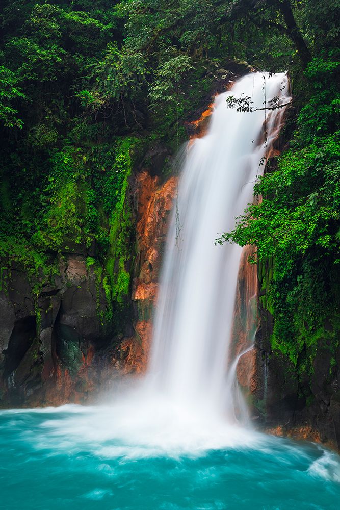 Rio Celeste Waterfall, Tenorio Volcano National Park, Guanacaste Province, Costa Rica art print by Russ Bishop for $57.95 CAD
