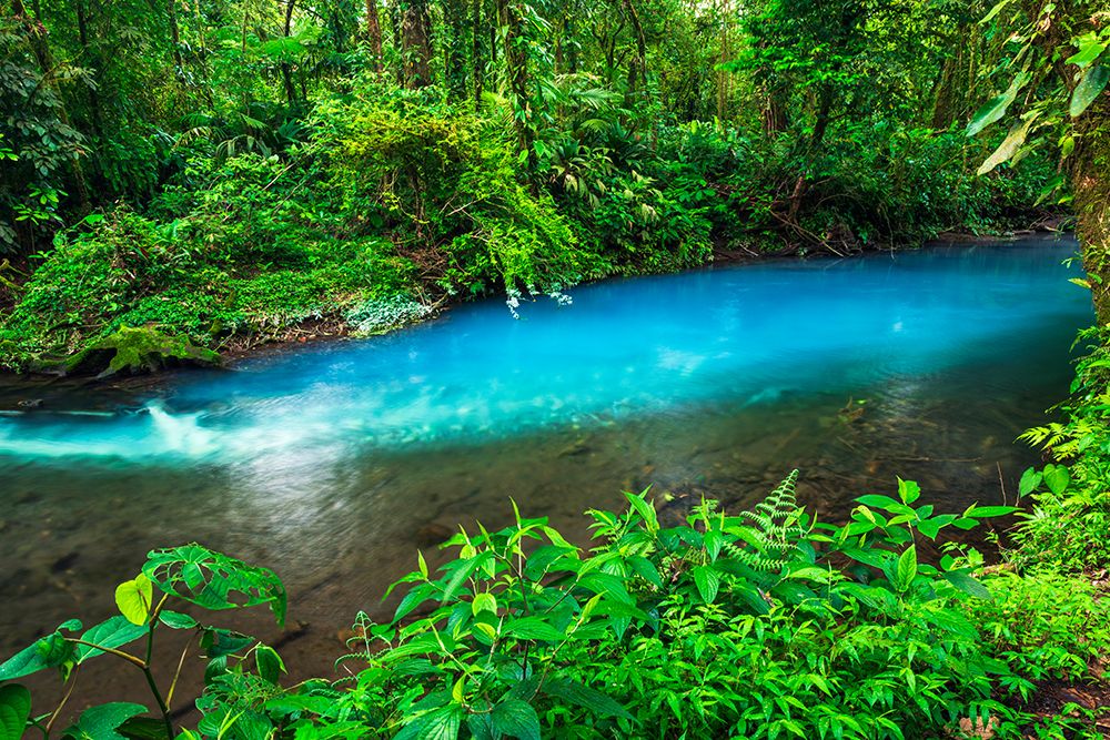 Changing colors at Rio Celeste, Tenorio Volcano National Park, Guanacaste Province, Costa Rica art print by Russ Bishop for $57.95 CAD