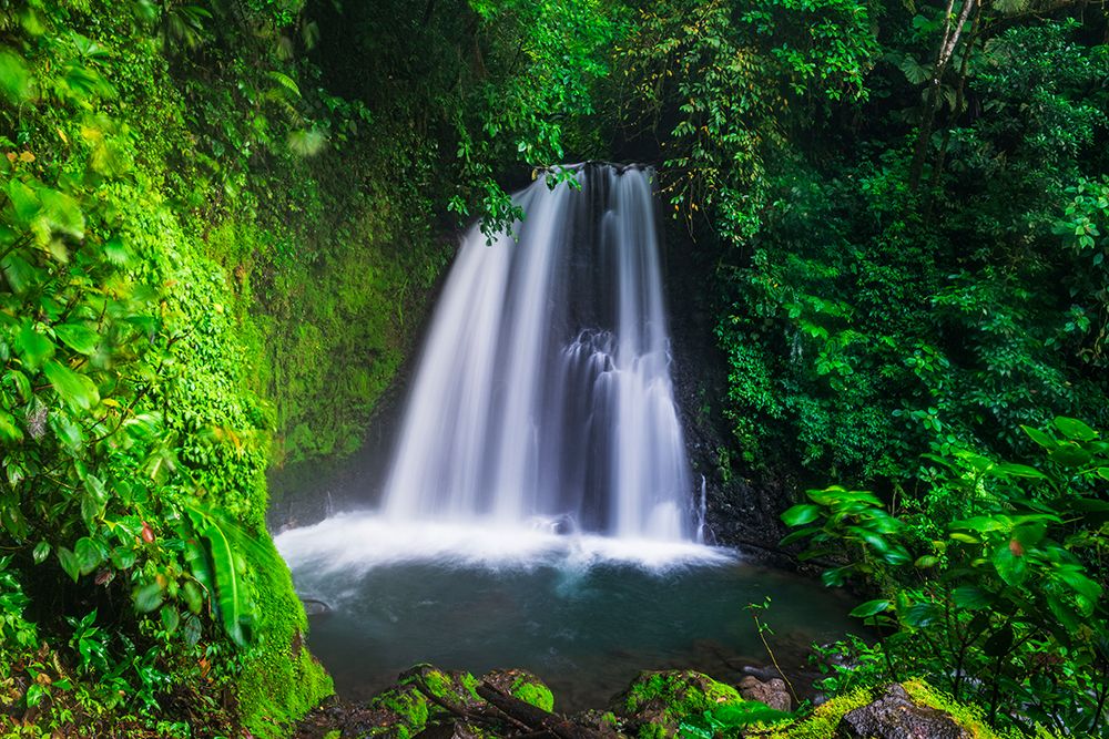 Danta waterfall, Arenal Volcano National Park, Alajuela Province, Costa Rica art print by Russ Bishop for $57.95 CAD