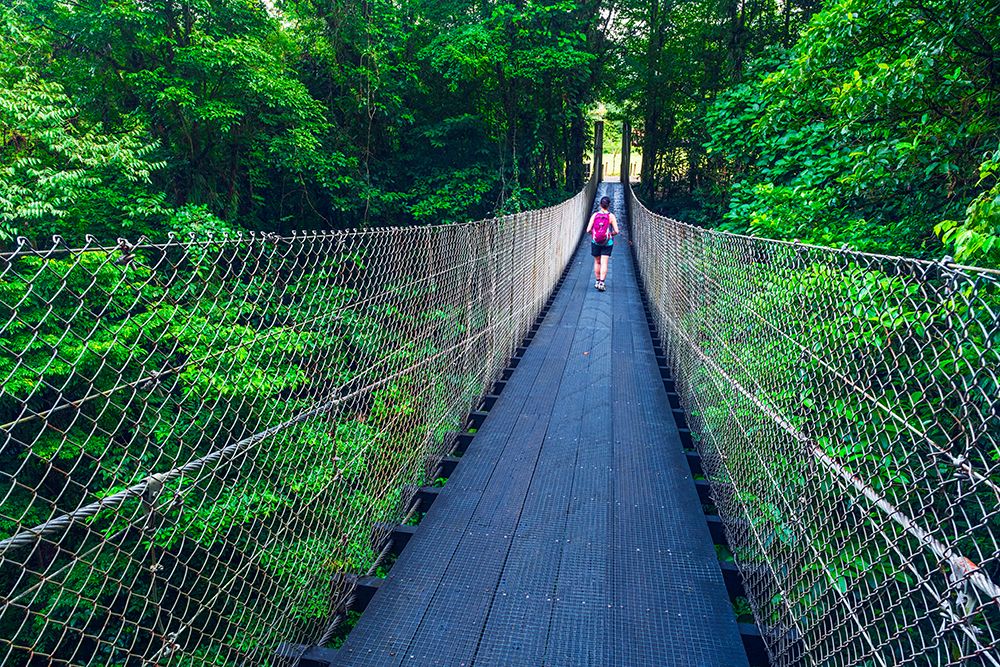 Hiker on the Danta Bridge, Arenal Volcano National Park, Costa Rica. art print by Russ Bishop for $57.95 CAD