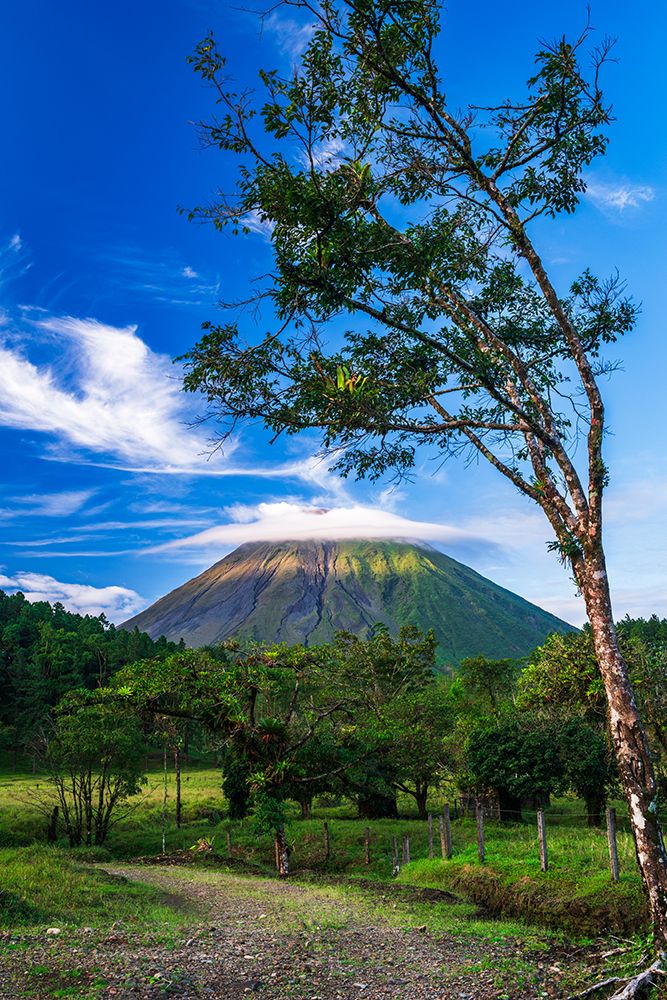 Arenal Volcano, Arenal Volcano National Park, Alajuela Province, Costa Rica art print by Russ Bishop for $57.95 CAD