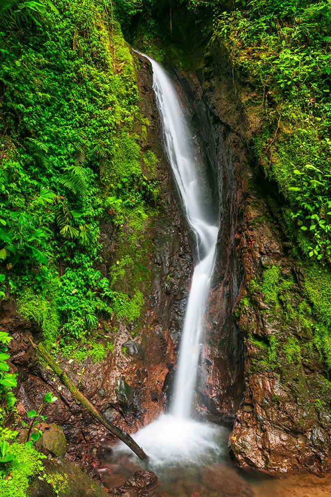Waterfall at Mistico Hanging Bridges, Alajuela Province, Costa Rica art print by Russ Bishop for $57.95 CAD
