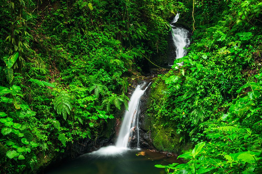 Waterfall in Monte Verde Cloud Forest Preserve, Alajuela Province, Costa Rica art print by Russ Bishop for $57.95 CAD