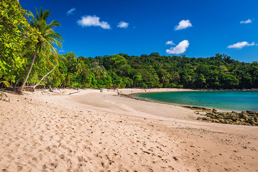 Manuel Antonio Beach, Manuel Antonio National Park, Puntarenas Province, Costa Rica art print by Russ Bishop for $57.95 CAD