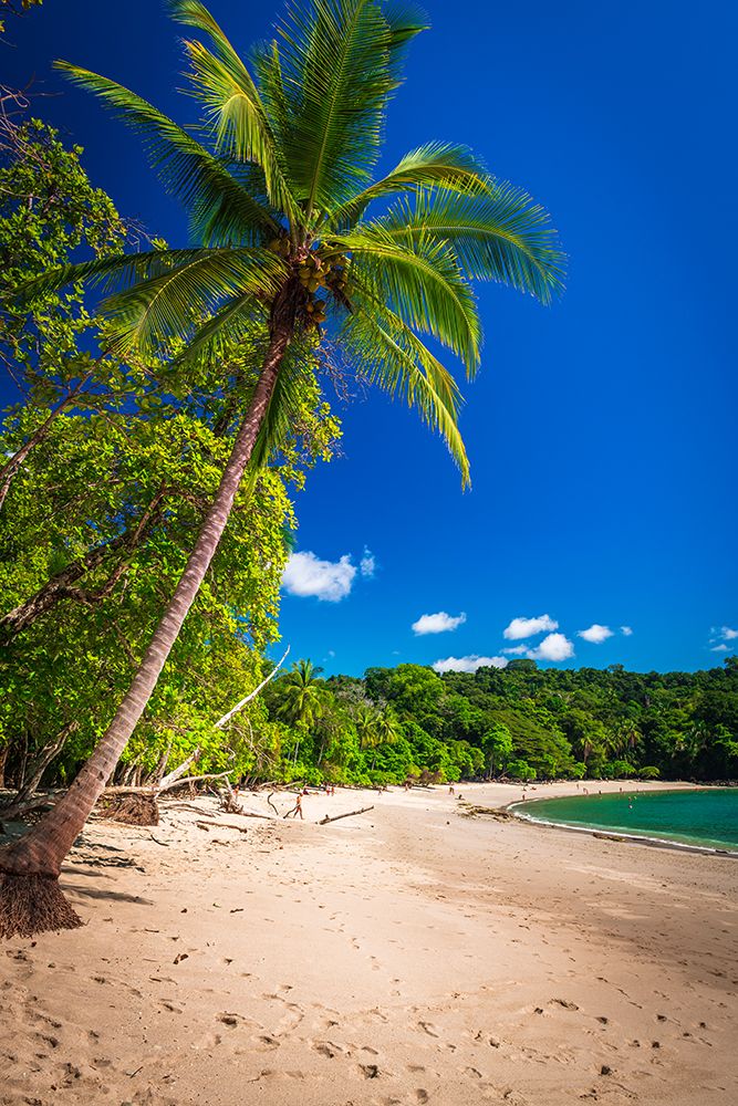 Manuel Antonio Beach, Manuel Antonio National Park, Puntarenas Province, Costa Rica art print by Russ Bishop for $57.95 CAD