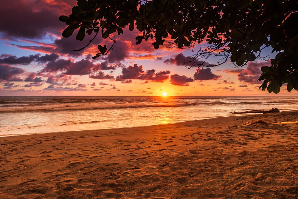 Sunset at Playa Matapalo, Puntarenas Province, Costa Rica art print by Russ Bishop for $57.95 CAD
