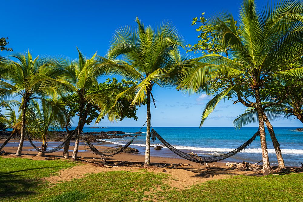 Hammocks on the beach at San Petrillo, Corcovado National Park, Puntarenas Province, Costa Rica art print by Russ Bishop for $57.95 CAD