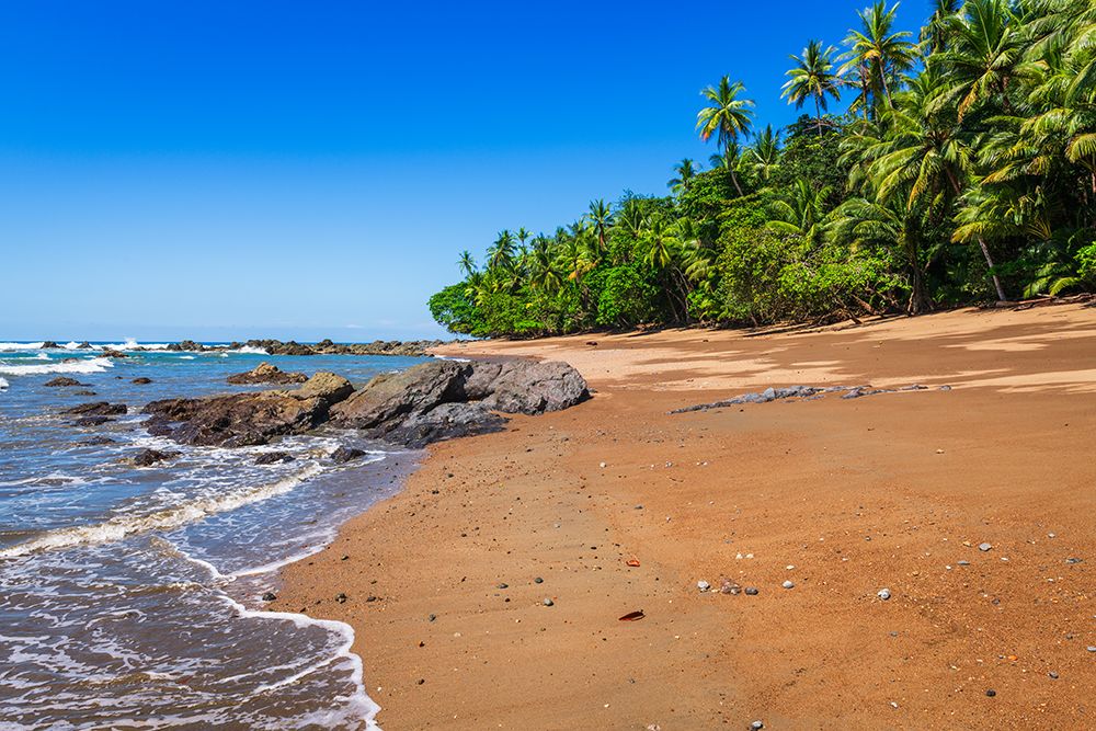 The beach at San Pedrillo, Corcovado National Park, Puntarenas Province, Costa Rica art print by Russ Bishop for $57.95 CAD