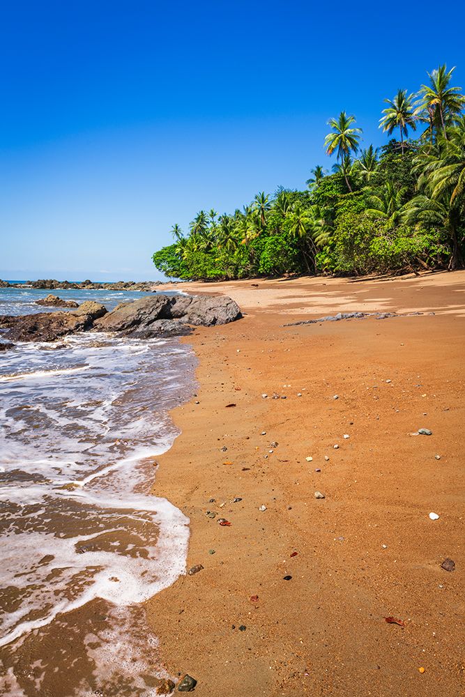 The beach at San Pedrillo, Corcovado National Park, Puntarenas Province, Costa Rica art print by Russ Bishop for $57.95 CAD