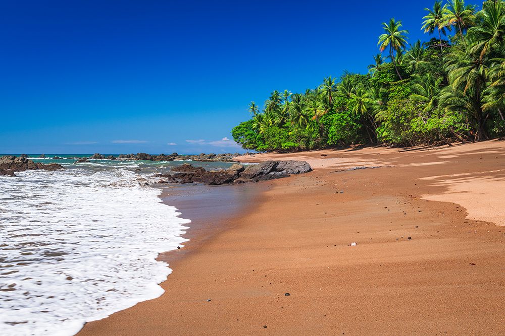 The beach at San Pedrillo, Corcovado National Park, Puntarenas Province, Costa Rica art print by Russ Bishop for $57.95 CAD