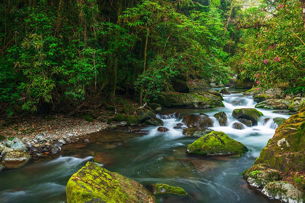 Savegre River in San Gerardo de Dota, San Jose Province, Costa Rica art print by Russ Bishop for $57.95 CAD