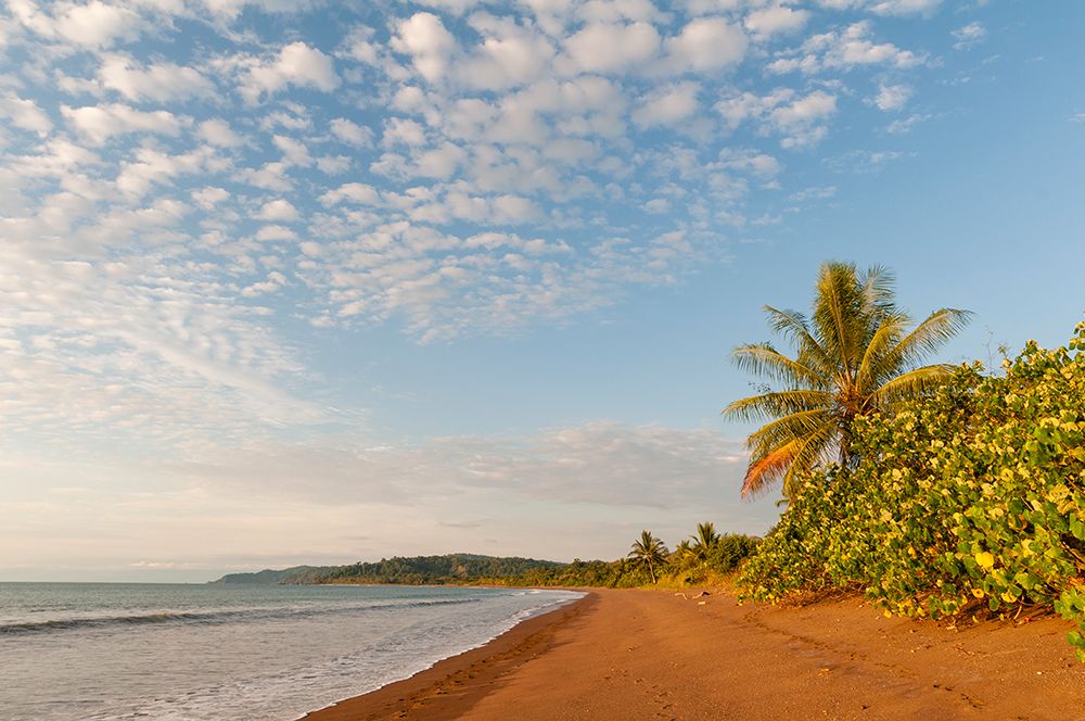 Gentle surf surging onto the sandy beach at Drake Bay-Osa Peninsula-Costa Rica art print by Sergio Pitamitz for $57.95 CAD