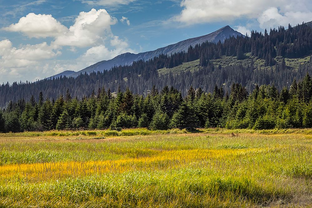 Meadow and mountains at Silver Salmon Creek-Lake Clark National Park and Preserve-Alaska art print by Adam Jones for $57.95 CAD