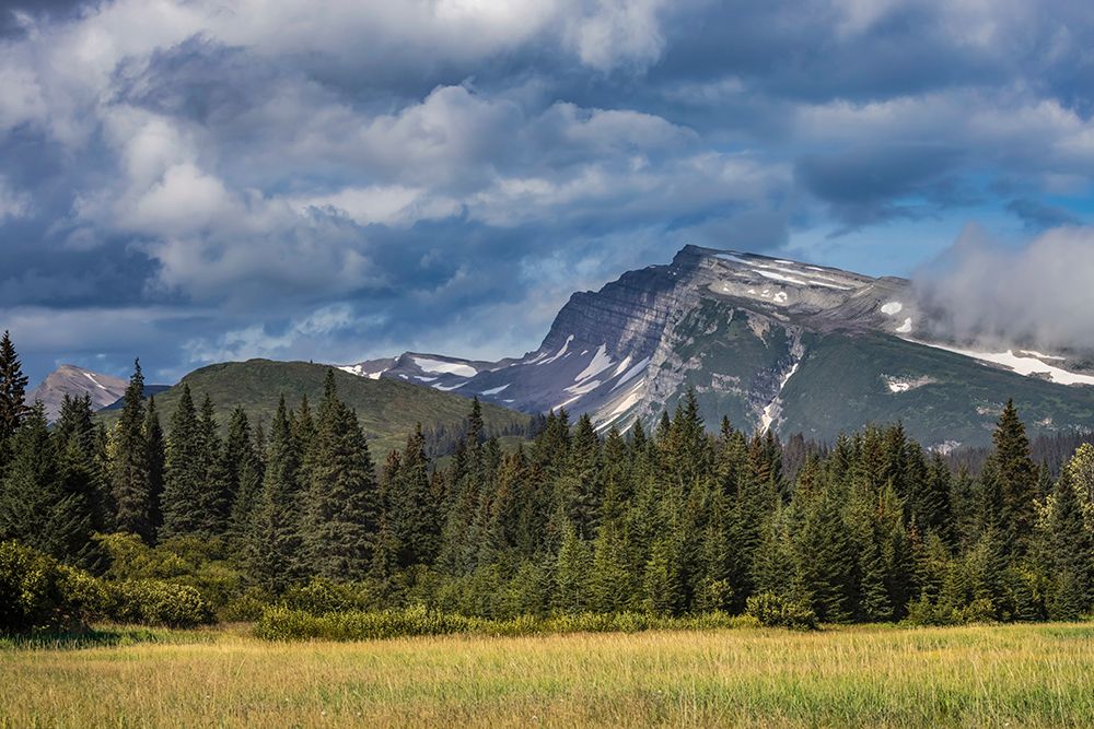 Meadow and mountains at Silver Salmon Creek-Lake Clark National Park and Preserve-Alaska art print by Adam Jones for $57.95 CAD