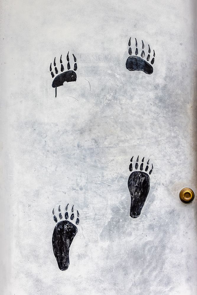 Bear paws painted on doorway, Lake Clark National Park and Preserve, Alaska art print by Adam Jones for $57.95 CAD