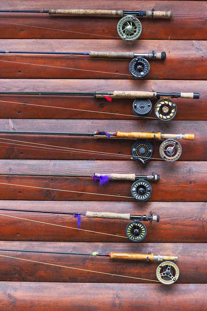 Several fishing rods hanging on cabin wall outside, Lake Clark National Park and Preserve, Alaska art print by Adam Jones for $57.95 CAD