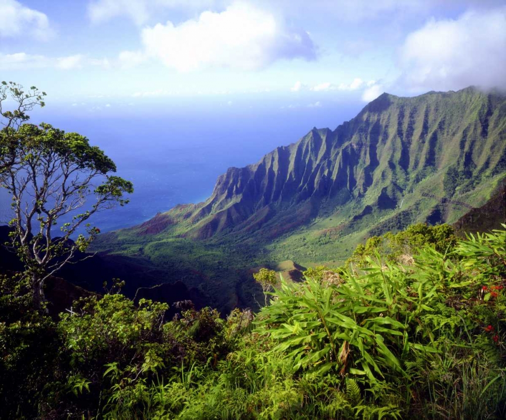 USA, Kauai, Hawaii View above the Na Pali Coast art print by Christopher Talbot Frank for $57.95 CAD