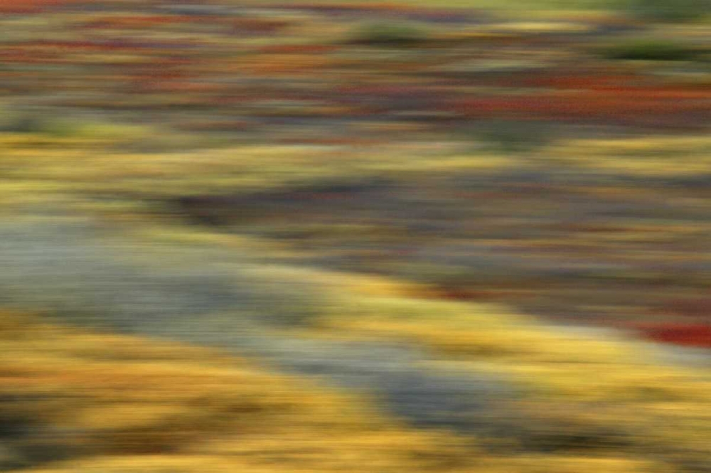 AK, Denali NP Abstract blur of autumn tundra art print by Arthur Morris for $57.95 CAD