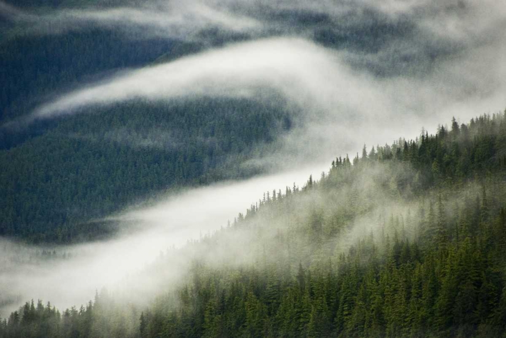 AK, Inside Passage Fog pattern over a mountain art print by Nancy Rotenberg for $57.95 CAD