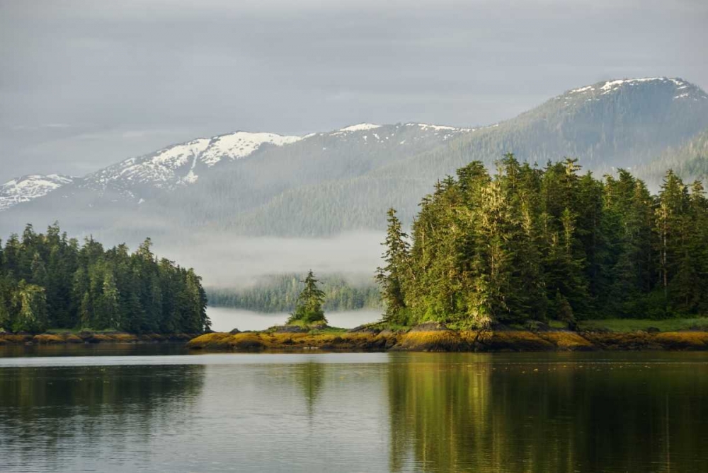 Alaska, Inside Passage Foggy forest and Mountain art print by Nancy Rotenberg for $57.95 CAD