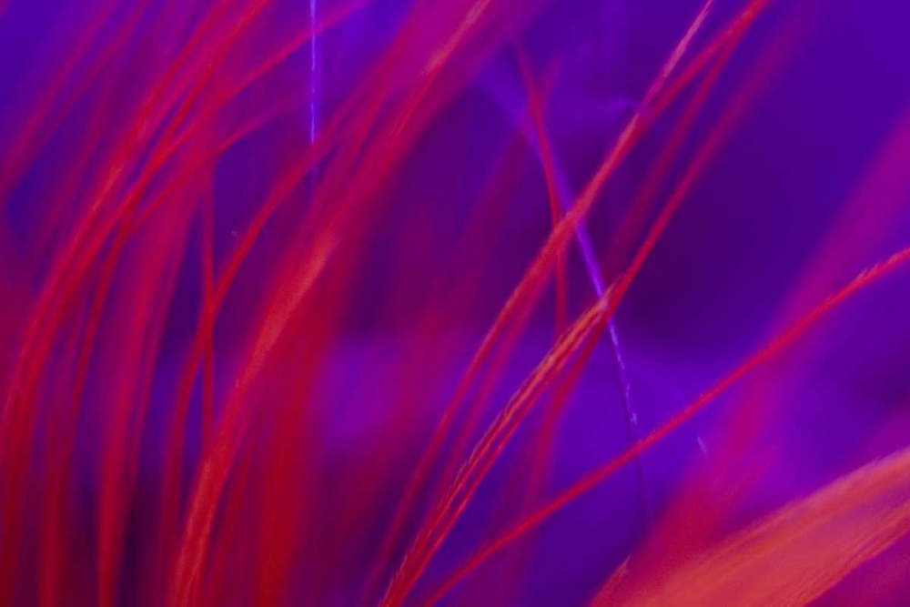 AK, Lake Clark NP Abstract of fishing fly art print by Wendy Kaveney for $57.95 CAD