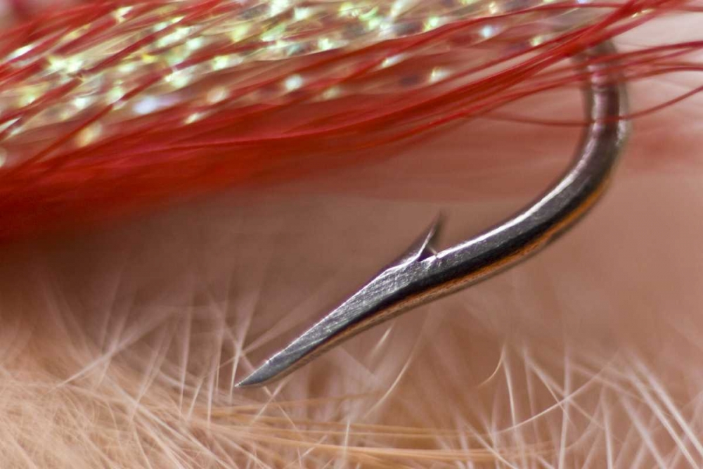 AK, Lake Clark NP Macro of a fishing hook art print by Wendy Kaveney for $57.95 CAD